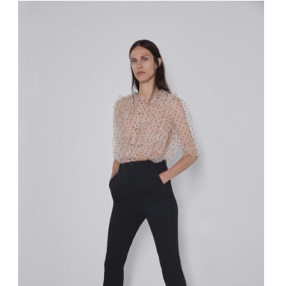 Zara sheer beige top S